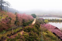 Sau hợp nhất, tỉnh mới có 2 sân bay đang được đề xuất xây dựng