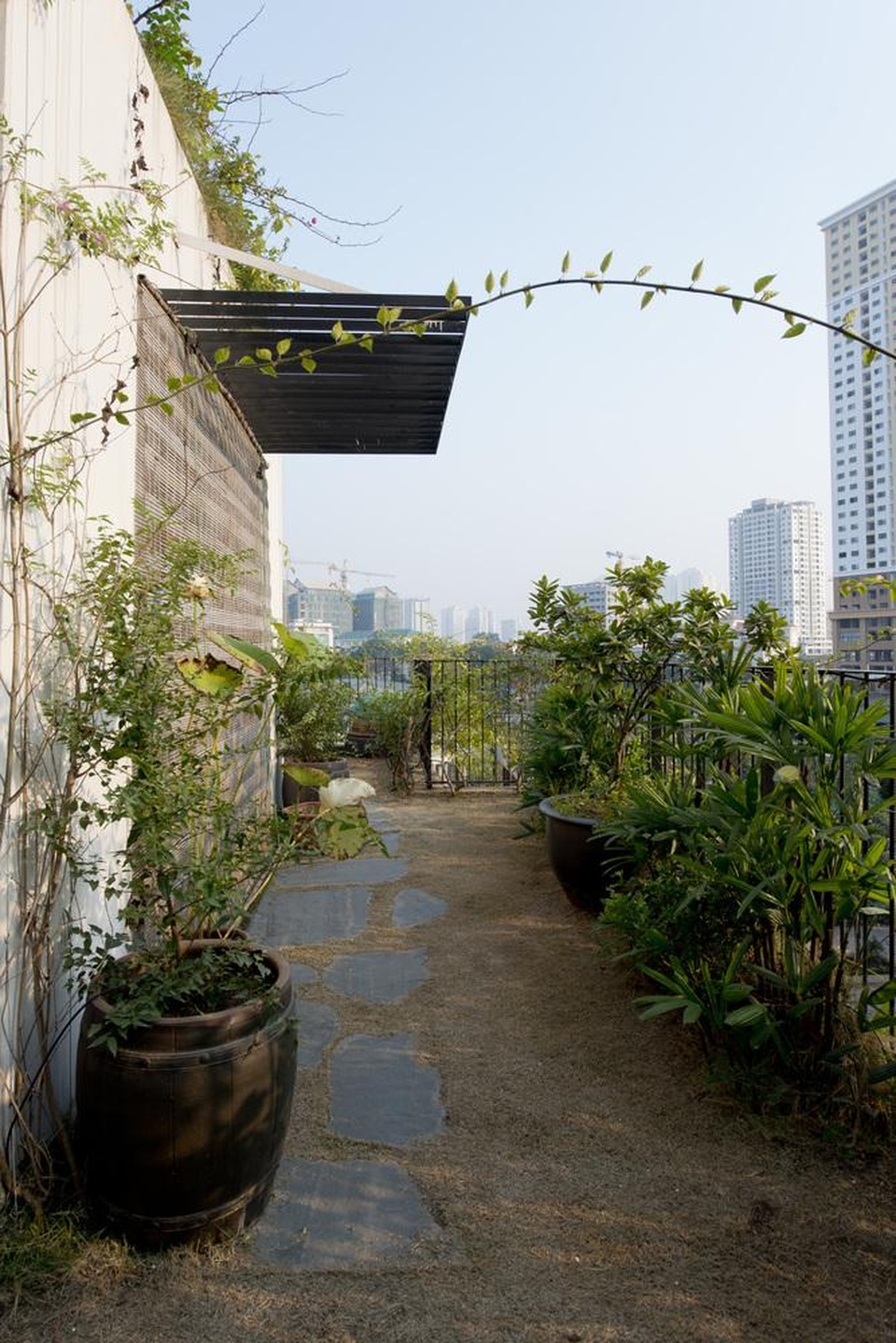 Hà Nội: Biệt thự 3 tầng phủ kín cây xanh đẹp lạ giữa lòng phố cổ - 11 Hà Nội: Biệt thự 3 tầng phủ kín cây xanh đẹp lạ giữa lòng phố cổ - 11