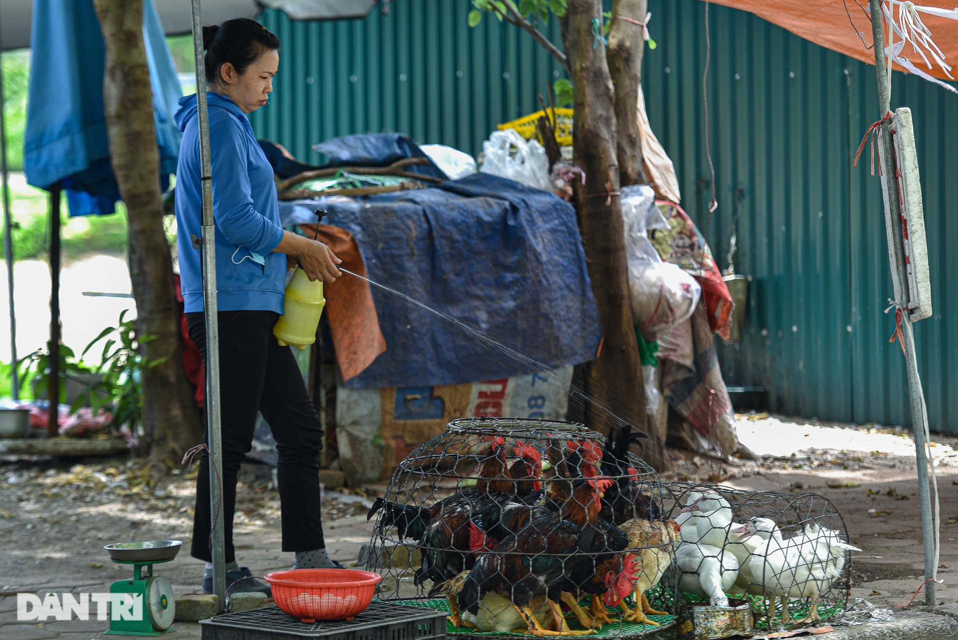 Trùm khăn ướt, đeo mặt nạ trong ngày Hà Nội nắng nóng 40 độ C - 8 Trùm khăn ướt, đeo mặt nạ trong ngày Hà Nội nắng nóng 40 độ C - 8