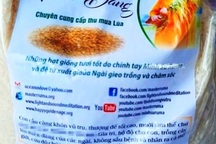 Thực hư giống lúa “Thiên Đàng” ăn vào để… chữa bệnh!