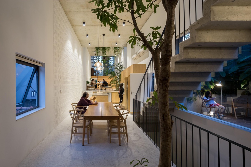 Nhà ống chật hẹp ở Hà Nội đẹp ấn tượng nhờ các khu vườn treo xanh mát - 6