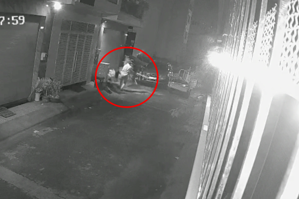 Táo tợn lái xe ba gác đi trộm mai trong khu dân cư ở TPHCM - 1 Táo tợn lái xe ba gác đi trộm mai trong khu dân cư ở TPHCM - 1