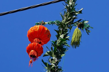 Trang trí đèn lồng đón Tết, một người bị điện giật tử vong