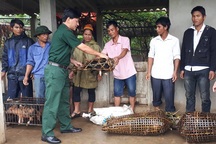 Bài 2: "Cứu tinh" giúp người dân thoát nghèo bền vững