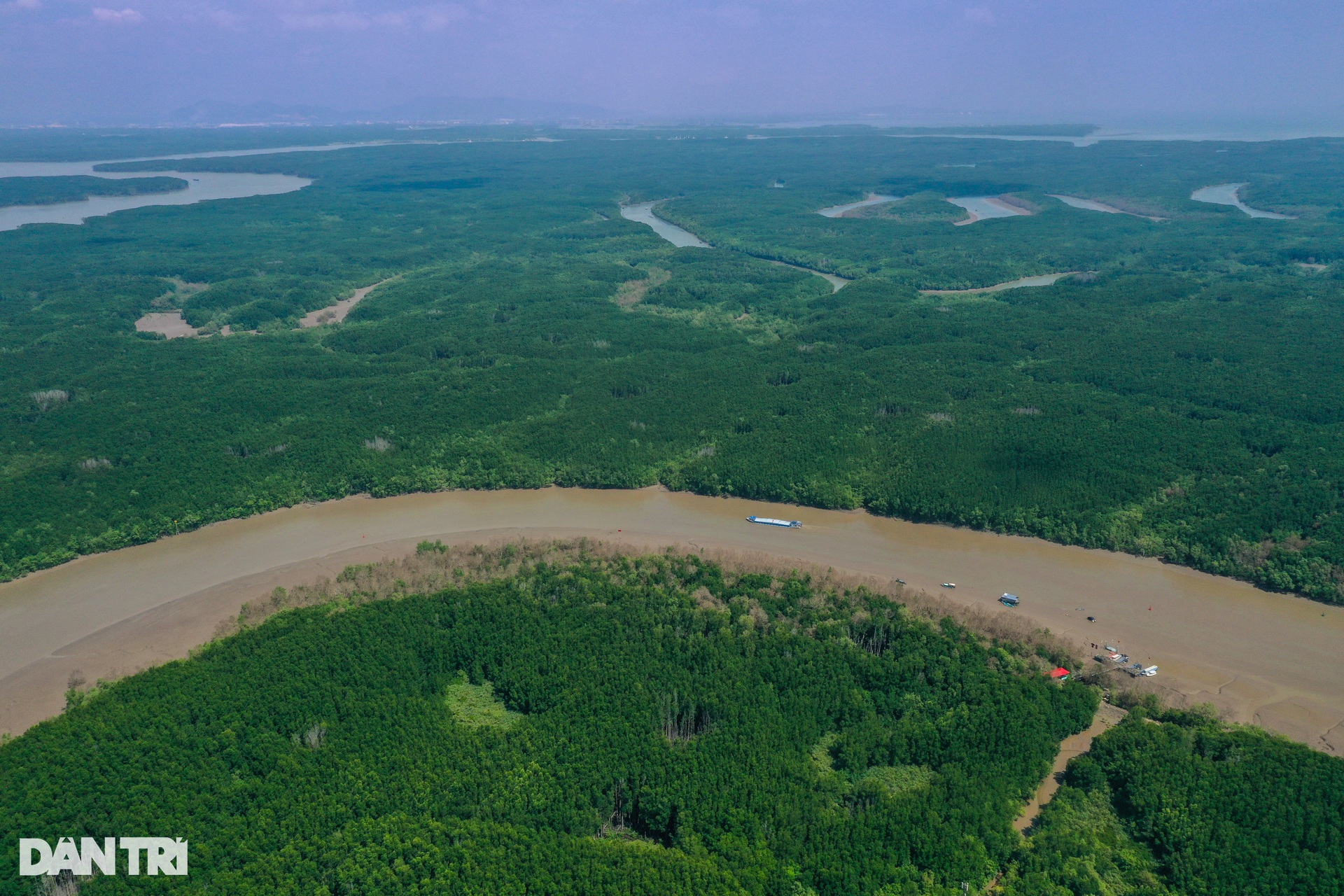 Cận cảnh rừng phòng hộ Cần Giờ được đề cử thành khu Ramsar thế giới - 6 Cận cảnh rừng phòng hộ Cần Giờ được đề cử thành khu Ramsar thế giới - 6