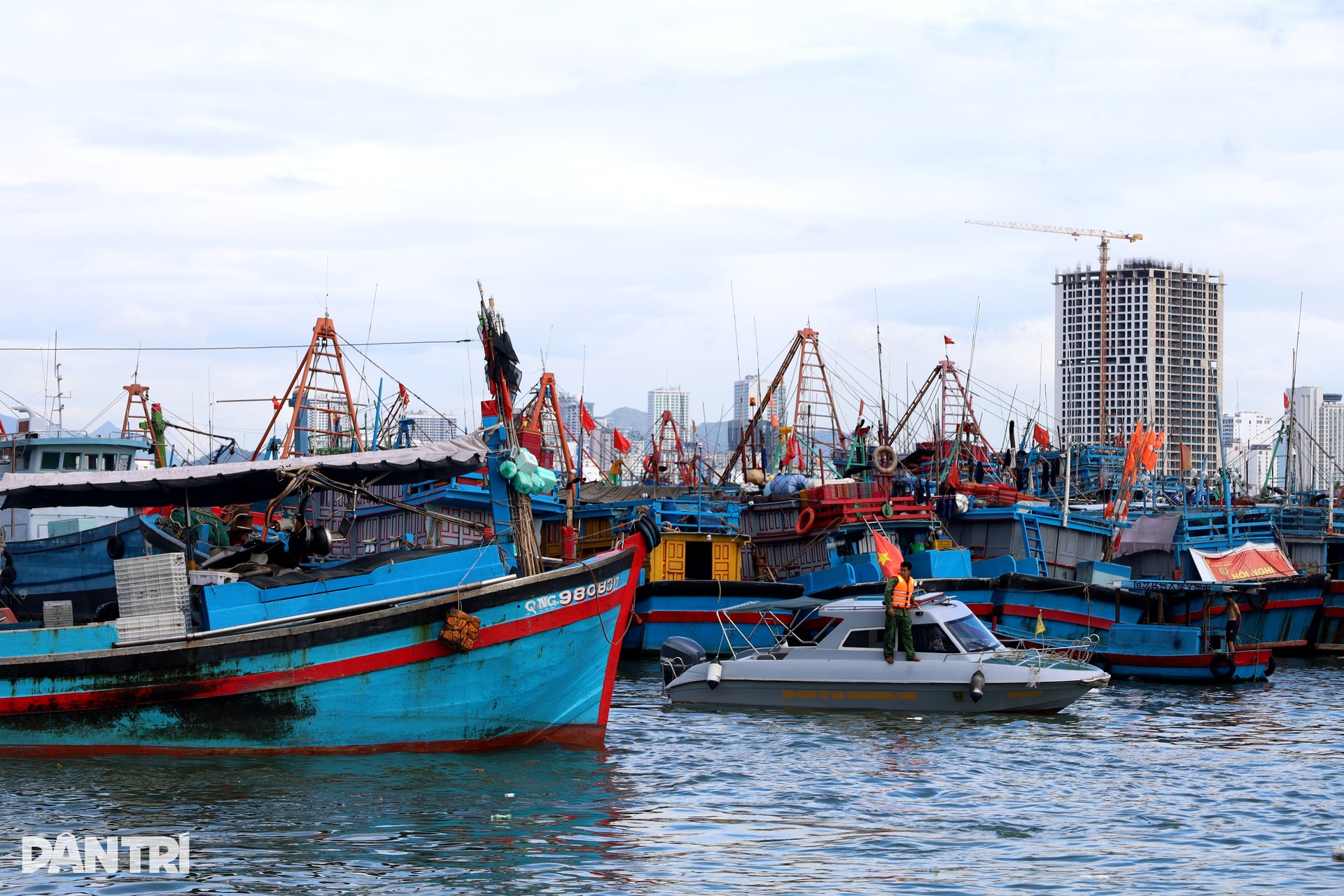 Chấp nhận lỗ cả trăm triệu đồng, ngư dân vượt sóng về tránh bão Kalmaegi - 1 Chấp nhận lỗ cả trăm triệu đồng, ngư dân vượt sóng về tránh bão Kalmaegi - 1