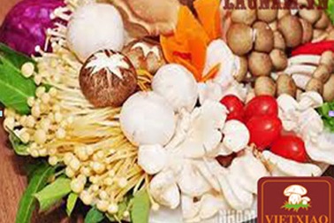 Nhà hàng lẩu nấm thiên nhiên Vietxiao - Điểm đến của người sành ăn
