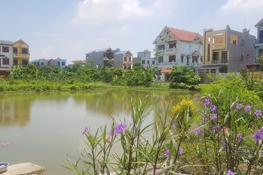 UBND thành phố Ninh Bình quy hoạch “đất công ích” rồi “phân lô bán nền”!