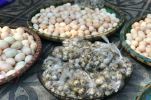 Hơn một tuần giãn cách: Giá trứng "nhảy múa", chênh cả 15.000 đồng/chục