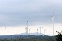 Kiến nghị Bộ Công an điều tra loạt sai phạm tại 5 dự án điện gió ở Đắk Nông