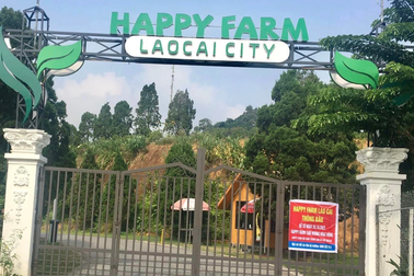 Làm rõ thông tin dự án bị phản ánh xây trái phép trên đất rừng Lào Cai