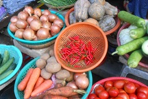 Sau mưa lũ, hơn trăm ngàn cân ớt vẫn không có mà bán