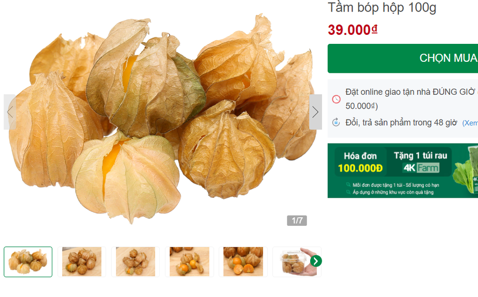Tầm bóp ở quê chỉ là quả dại, lên kệ siêu thị bán giá 400.000 đồng/kg - 1 Tầm bóp ở quê chỉ là quả dại, lên kệ siêu thị bán giá 400.000 đồng/kg - 1