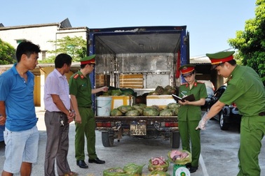Bắt xe tải chở hơn nửa tấn nội tạng lợn hôi thối đưa vào Ninh Bình tiêu thụ