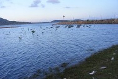 Rủ nhau đi tắm, 2 chị em họ cùng chết đuối