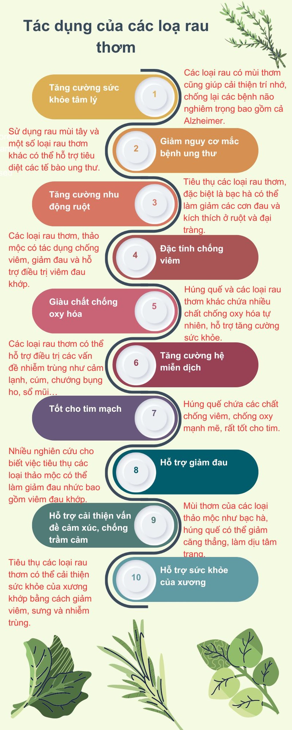 Nên ăn rau sống như thế nào để đỡ nhiễm giun sán? - 2