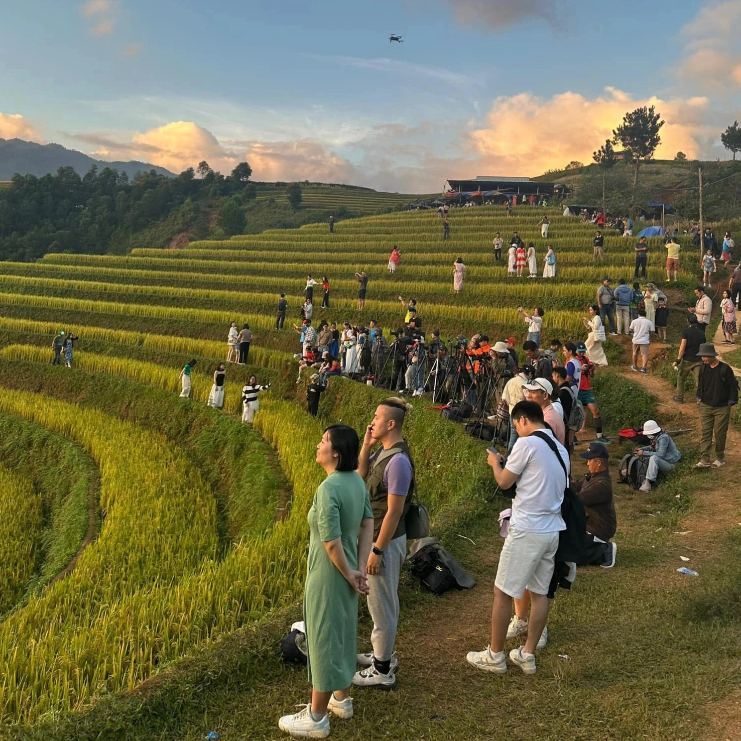 Khách đổ về Mù Cang Chải ngắm ruộng lúa chín, nhiều homestay cháy phòng - 3