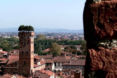 Độc đáo tháp cổ gần 700 năm tuổi mọc cây trên đỉnh