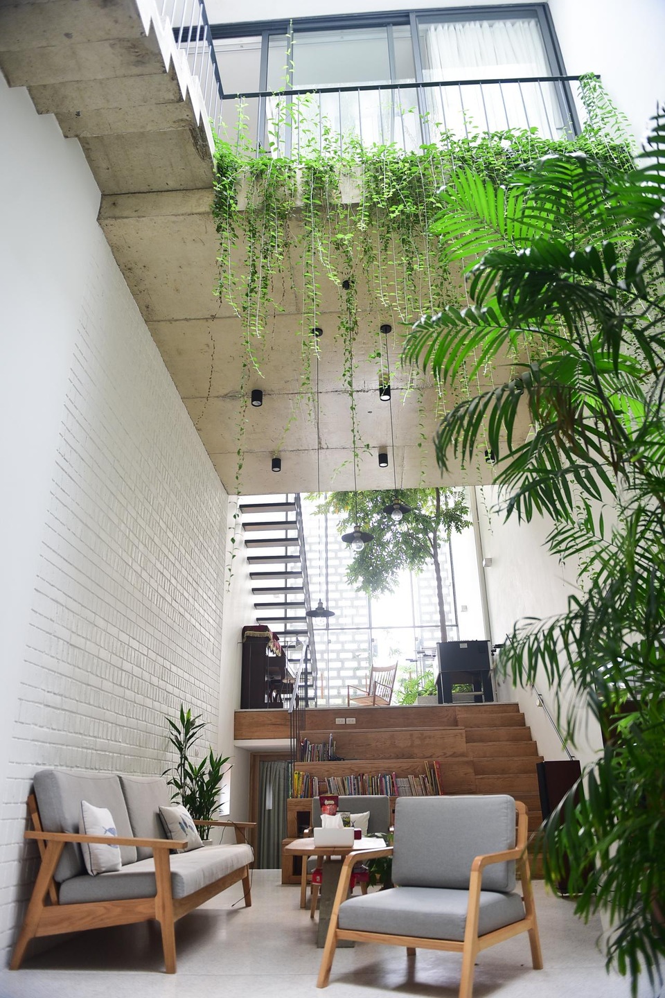 Nhà ống chật hẹp ở Hà Nội đẹp ấn tượng nhờ các khu vườn treo xanh mát - 3