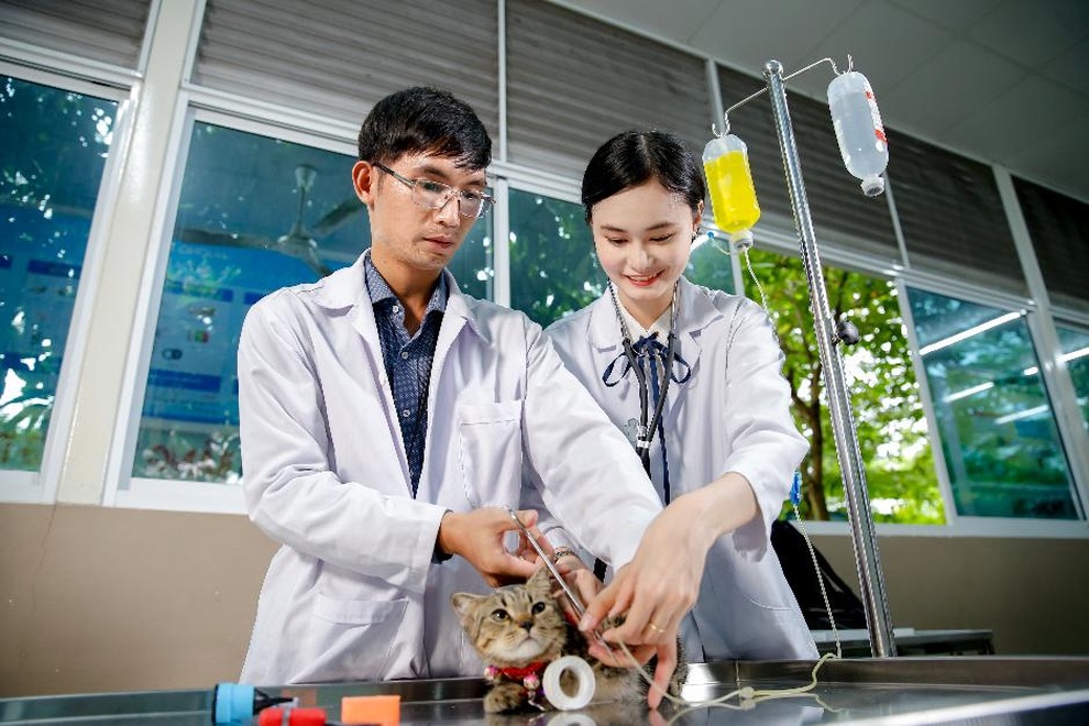 HUTECH lập Khoa Thú y - Chăn nuôi, đào tạo nhân lực nông nghiệp công nghệ cao - 1 HUTECH lập Khoa Thú y - Chăn nuôi, đào tạo nhân lực nông nghiệp công nghệ cao - 1
