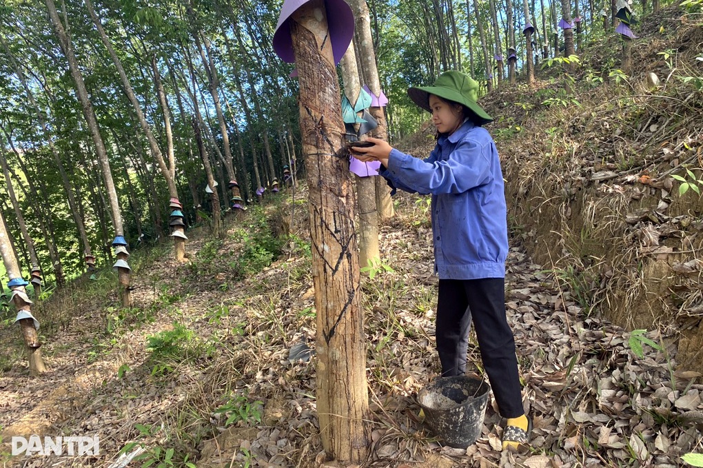 Nghị lực của những nữ sinh vượt khó học giỏi nơi cao nguyên - 3 Nghị lực của những nữ sinh vượt khó học giỏi nơi cao nguyên - 3