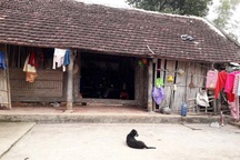 Lời khai của người chú dùng xích khóa cháu ruột mình