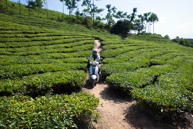 Tây Bắc - Những ấn tượng khó phai