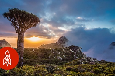 Cảnh đẹp ấn tượng của Socotra