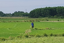 Thừa Thiên Huế: Dự án giết mổ gia súc bị kịch liệt phản đối vì nguy cơ ô nhiễm