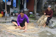 Những cụ già lưu giữ nghề đan bị cói ở Thái Bình, 80 tuổi vẫn chưa "về hưu"
