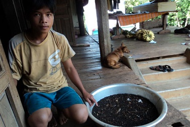 Đến lượt bọ đen “gây rối” người dân