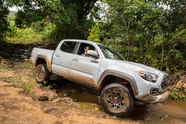 Xe hơi và những điều ít biết