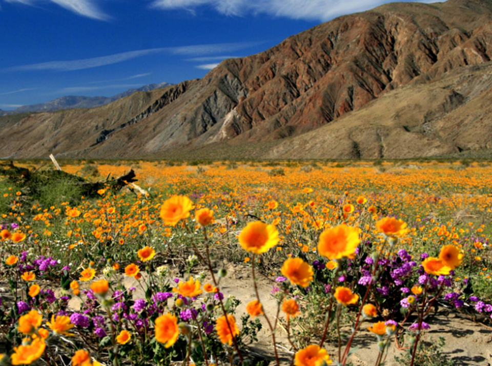 Những quốc gia đẹp nhất thế giới (P2) - 16 Những quốc gia đẹp nhất thế giới (P2) - 16