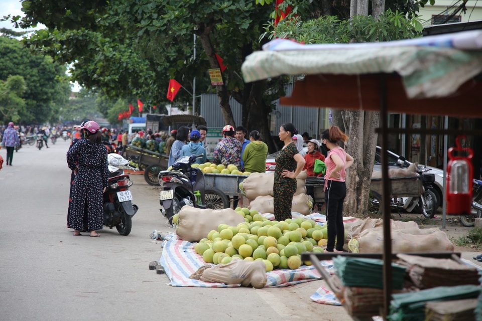 Soi đèn đi chợ bưởi lúc đêm khuya - 3 Soi đèn đi chợ bưởi lúc đêm khuya - 3