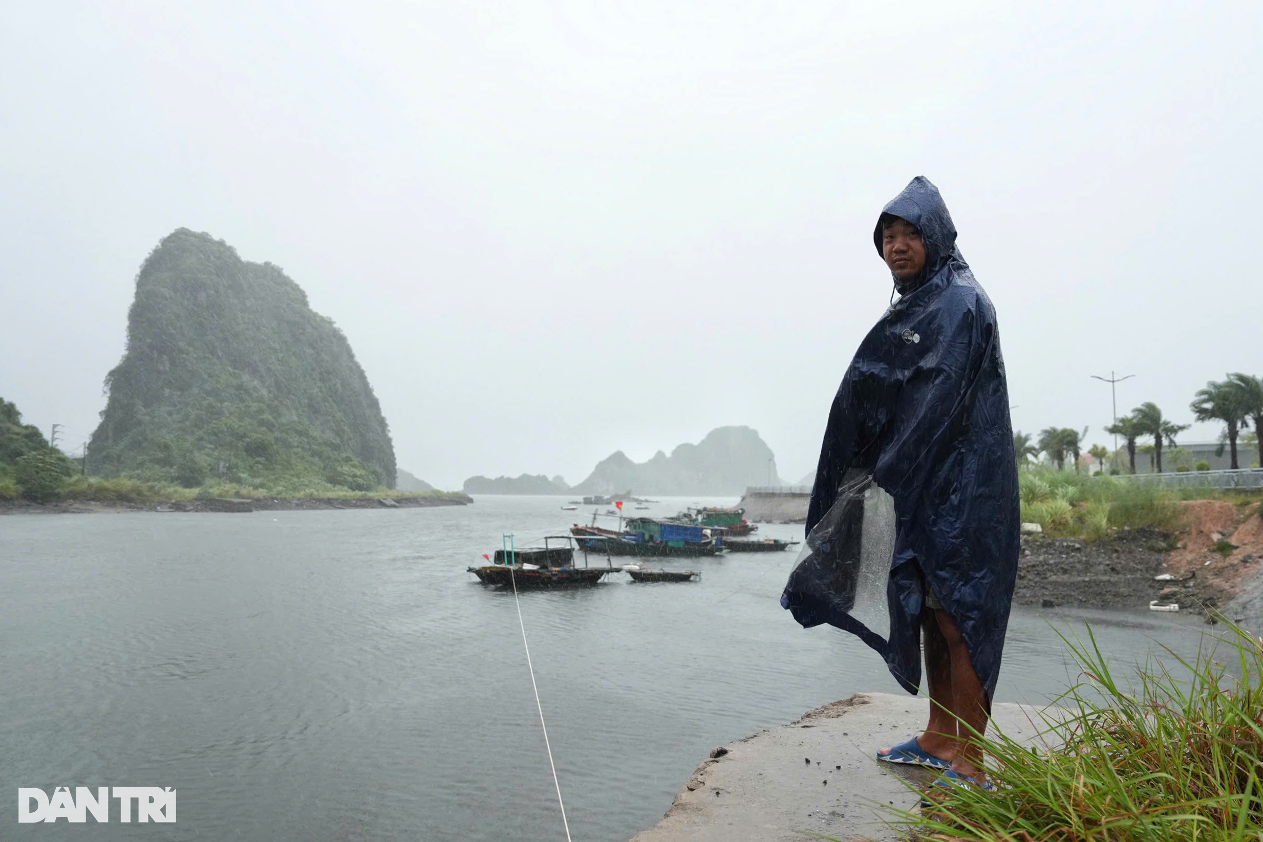 View - Trước giờ bão Yagi đổ bộ Quảng Ninh: Cây xanh gẫy đổ, tôn bay la liệt | Báo Dân trí