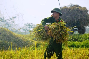 Trữ lương thực, hàng thiết yếu tại khu vực có nguy cơ bị chia cắt