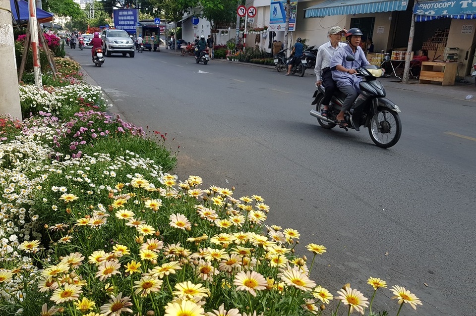 Nha Trang ngập tràn sắc xuân, du khách háo hức dạo phố đèn lồng - 4 Nha Trang ngập tràn sắc xuân, du khách háo hức dạo phố đèn lồng - 4