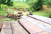 Đình chỉ cán bộ kiểm lâm để phục vụ công tác điều tra