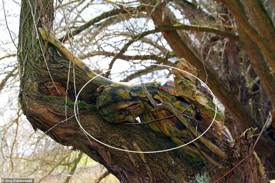 Bạn có nhìn thấy người mẫu khỏa thân trong ảnh này? - 19 Bạn có nhìn thấy người mẫu khỏa thân trong ảnh này? - 19