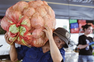 Kiểm tra chất lượng thực phẩm tại chợ nông sản lớn nhất TPHCM