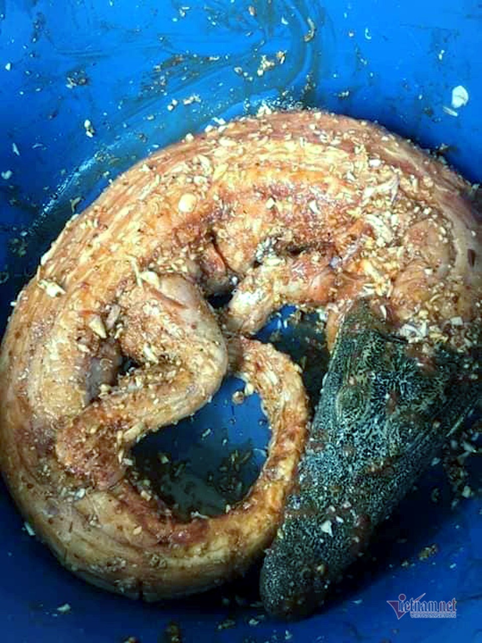 Cá sấu nguyên con rẻ như rau, nướng ăn liền ngày bán 2 tạ - 5 Cá sấu nguyên con rẻ như rau, nướng ăn liền ngày bán 2 tạ - 5