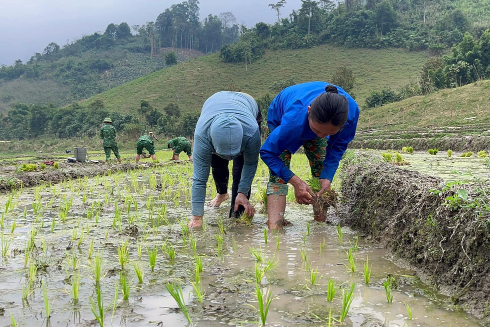 Cú quay xe theo con đường sáng của chàng trai trót làm ăn với phỉ - 5