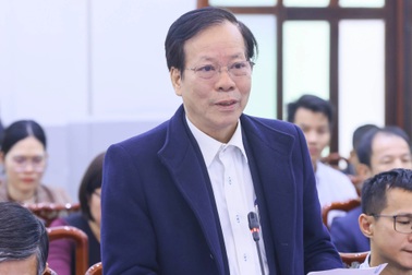 Đề xuất quy định người đại diện sở hữu đình, chùa