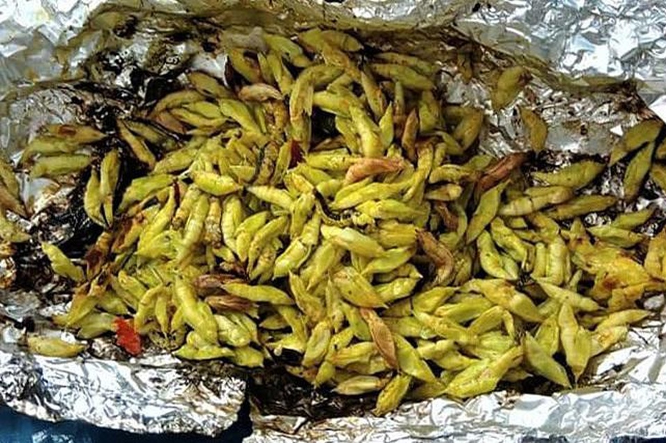 Loạt đặc sản con nhung nhúc, béo tròn, khách vừa ăn vừa sợ - 12