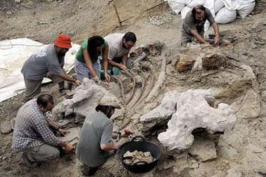 Phát hiện hàng trăm trứng khủng long hóa thạch tại Tây Ban Nha