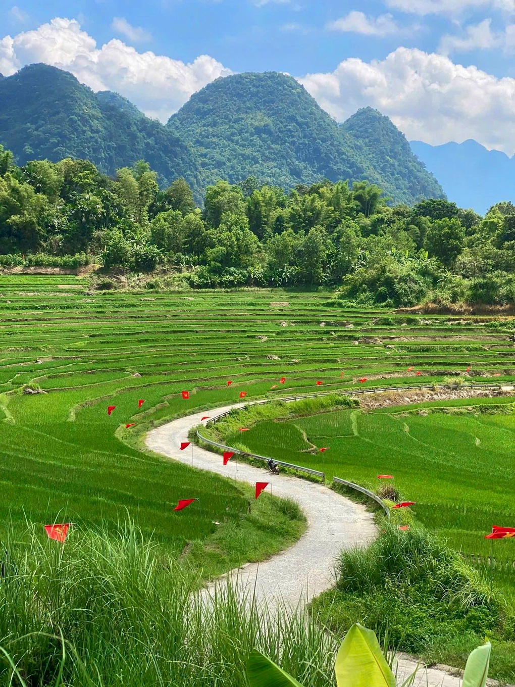 Die rote Flaggenstraße mit dem gelben Stern in Pu Luong ist so schön wie ein Bild und zieht am 2. und 2. September Besucher an Con đường cờ đỏ sao vàng ở Pù Luông đẹp như tranh, hút khách dịp 2/9 - 2