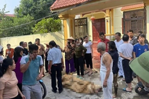 Khởi tố vụ án 3 con gái đổ xăng đốt nhà mẹ đẻ