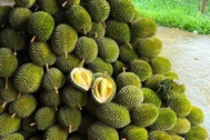 Giá nông sản hôm nay 12/9: Sầu riêng Musang King tăng giá mạnh