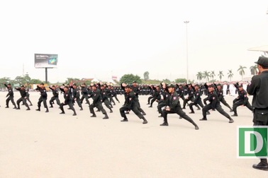 Màn biểu diễn võ tập thể của Cảnh sát cơ động.
