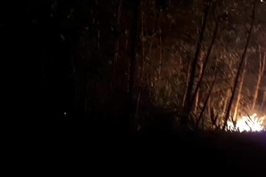 Đang cháy rừng keo ở Quảng Nam